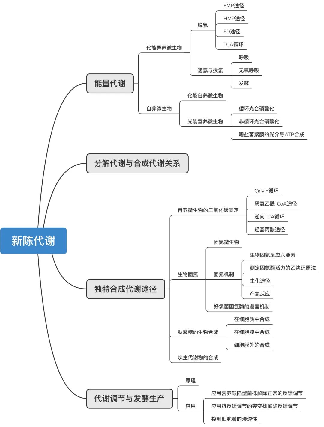 本章思维导图新陈代谢