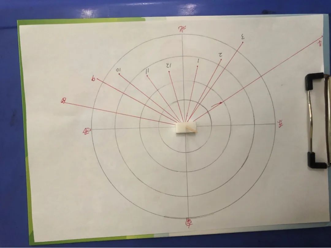 自制日晷观察记录图片