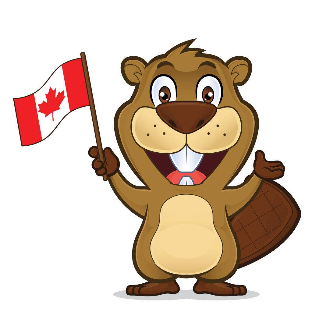 加拿大的动物国宝图片