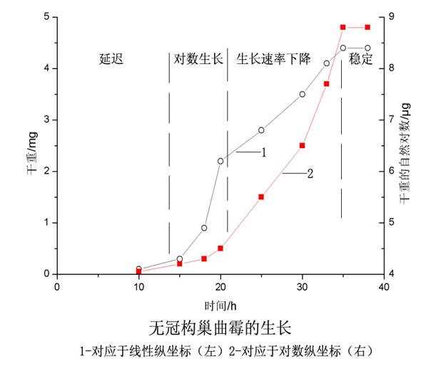 对于丝状生长的真菌和放线菌来说,是一条"非典型"的生长曲线,真菌的