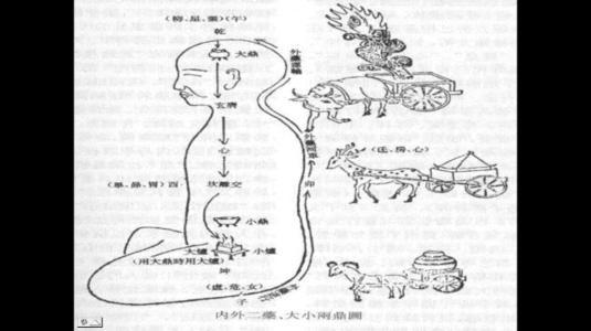 人体关窍示意图图片