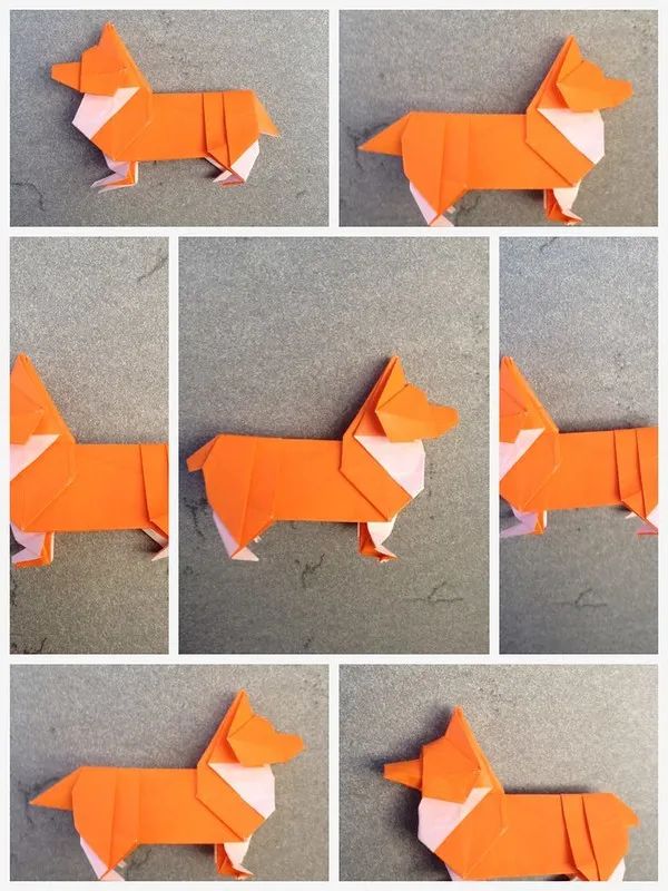 他用一张纸折了那么多小动物太令人震撼了