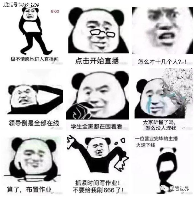 直播网课