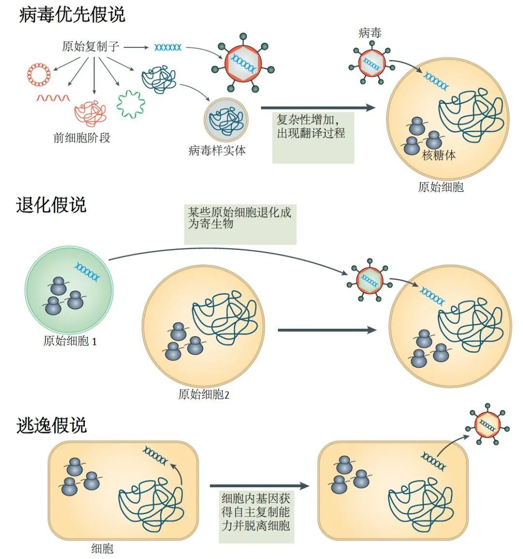 传播力胜过sars,需要担心新冠病毒变异吗?