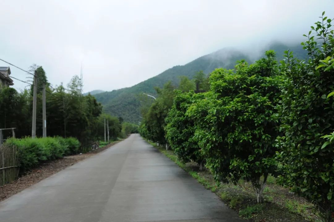 泗洲头镇后王村