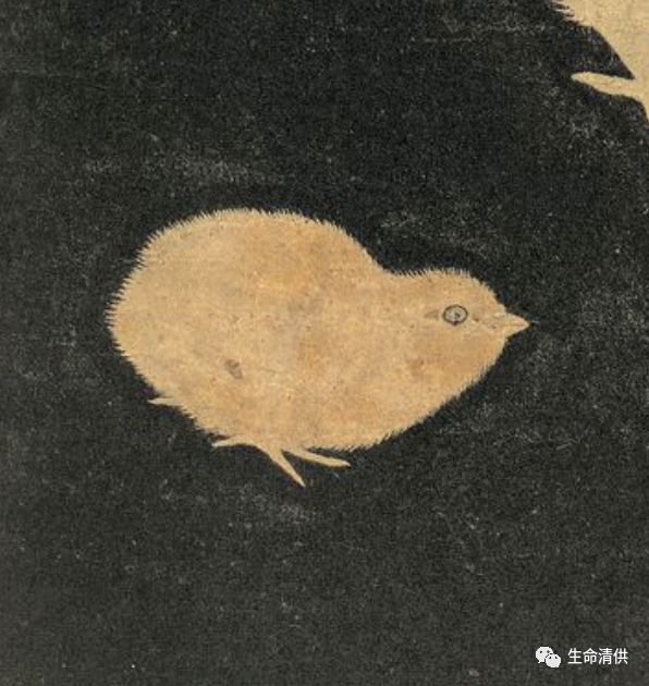 宋人|《子母鸡图》