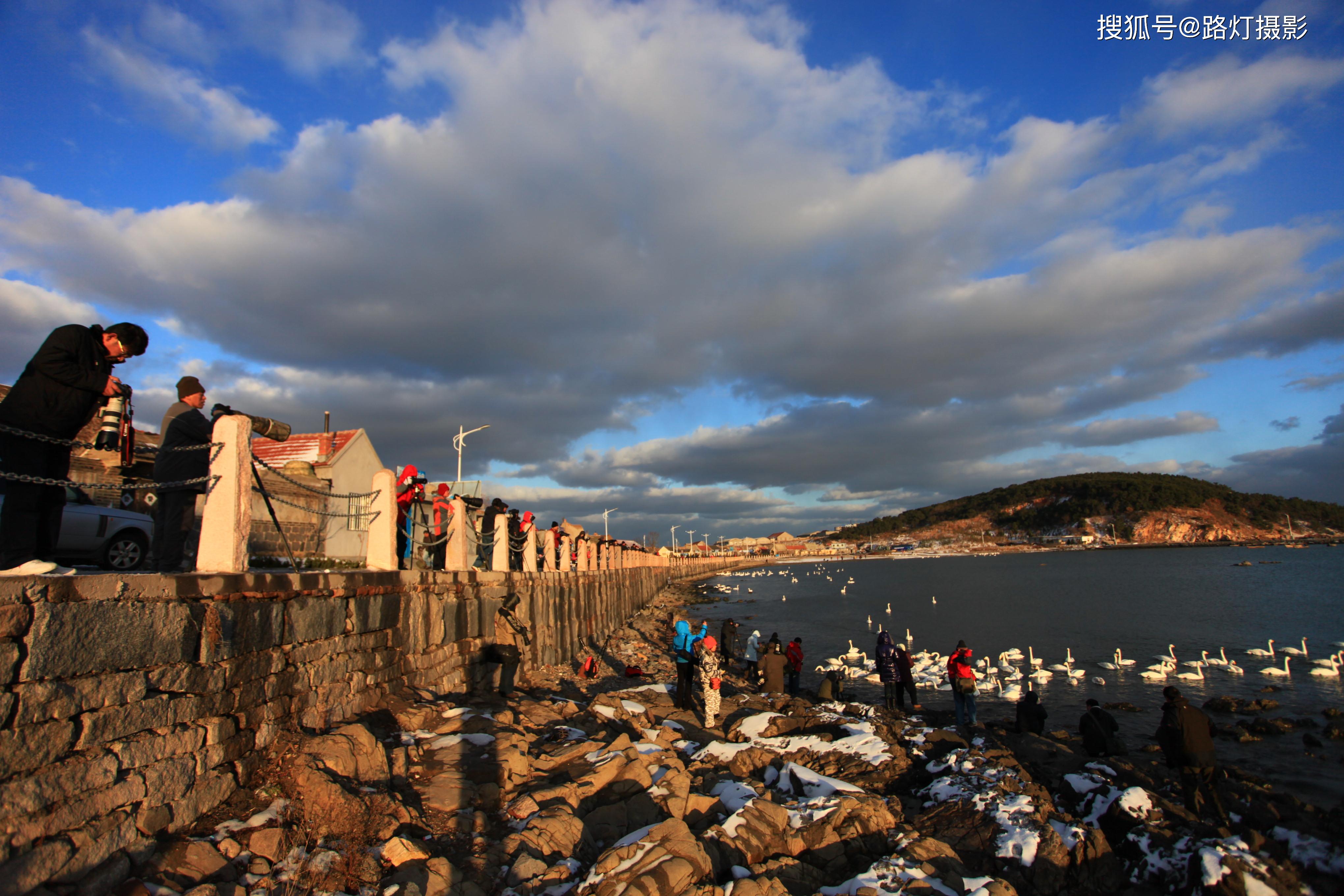 北方最美的天鹅栖息地,山东烟墩角,长天碧水,秀丽渔村美成童话