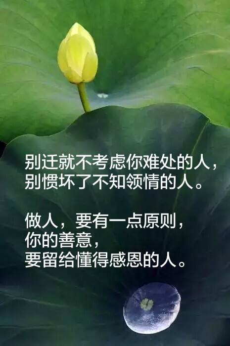 做人应堂堂正正,不能为了钱昧着良心把人算计