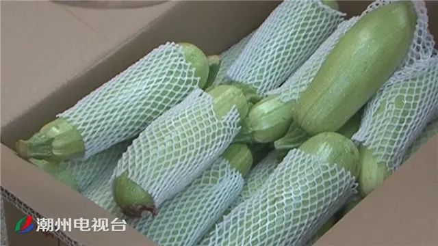 3万公斤优质果蔬500箱卤鸡蛋驰援湖北潮州爱心农企真给力67