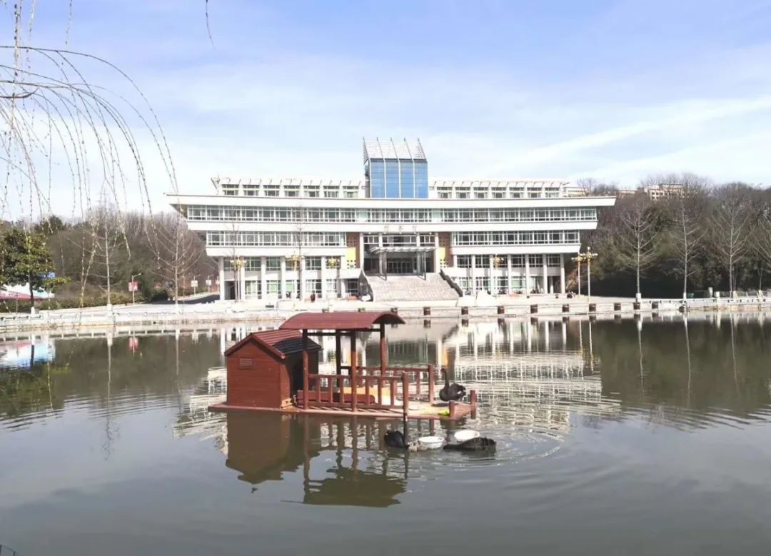 想你师院