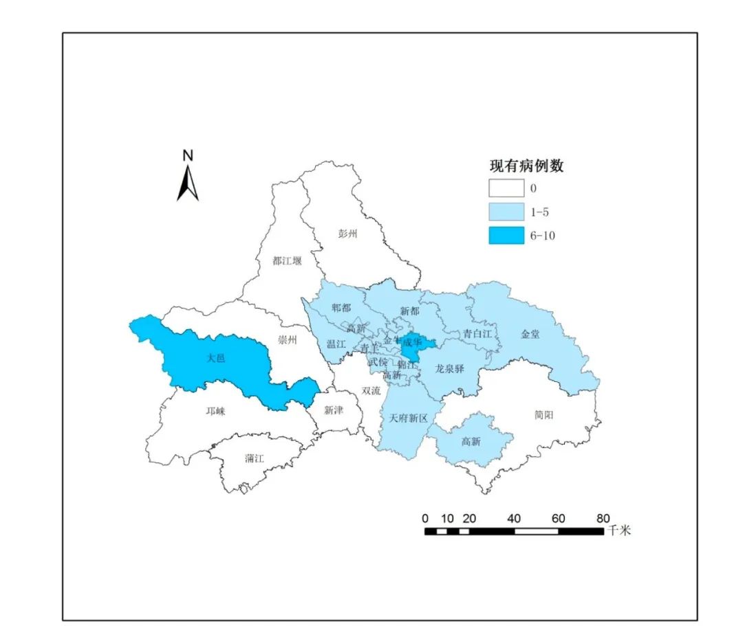 全市疫情地图如下 成都市区(市)县疫情分区分级地图