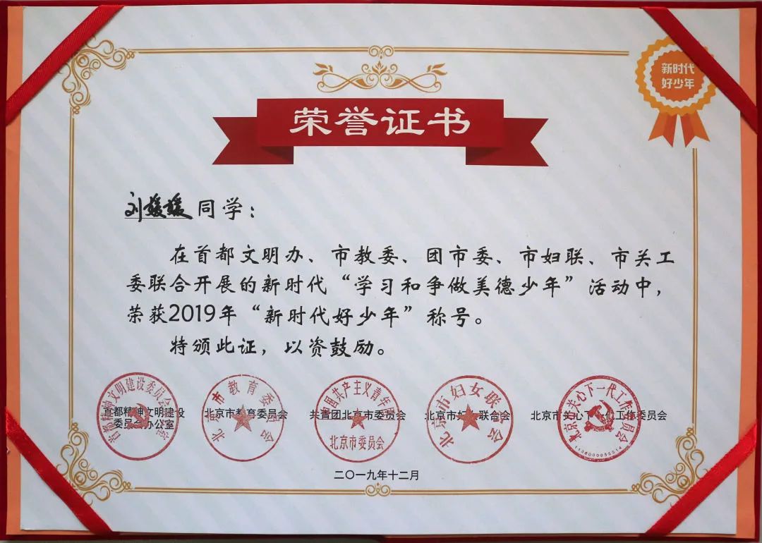 【喜报】延庆2名少年荣登2019年首都"新时代好少年"榜单