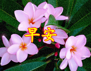 33周二早安请你相信你的坚持终将美好