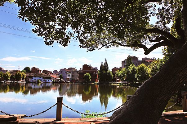 榜单| 永康这两个镇入选首批省森林康养小镇!_西溪镇