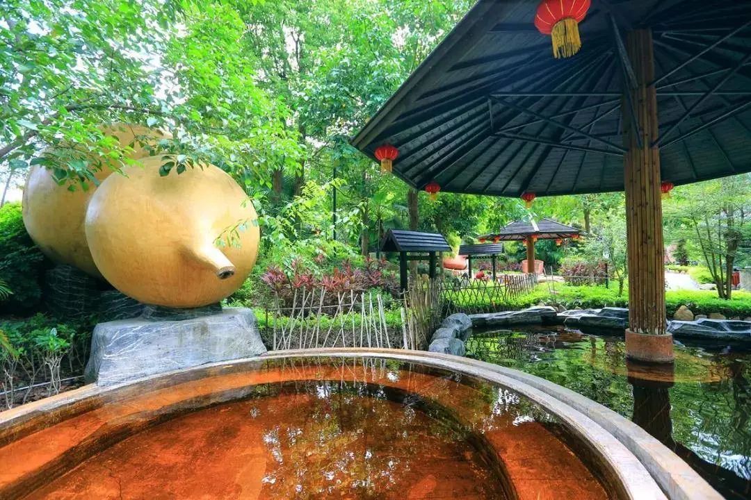 永定天子温泉超值门票来啦48元起抢购天子温泉票健康药泉养身润肺提高