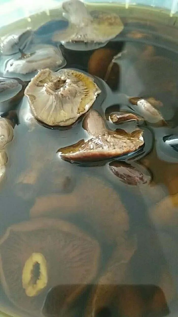 熏鱼/鱼头酱鸭 走油肉 卤鸭头 鱼胶冻 爊鸡蹄膀酱筒骨 咸鱼干 蕈油