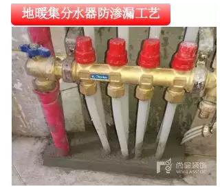 系统工作时,在结构的两侧施加脉冲电荷,促使水分子由负极向阳极移动