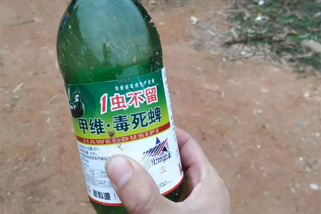 宁都一夫妻吵架喝农药欲自杀结果