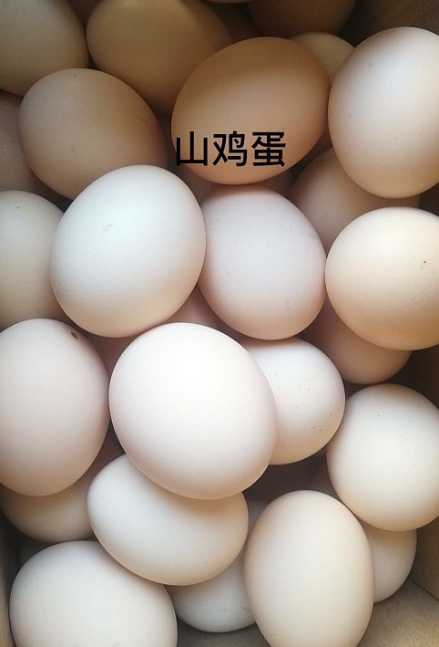 也就是我们所说的土鸡蛋纯正的鸡蛋味道·吃真正的山鸡蛋能够品尝到散