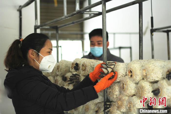 街镇易地扶贫搬迁见闻中新网娄底3月3日电(冯兵田李远根肖建超)两天前