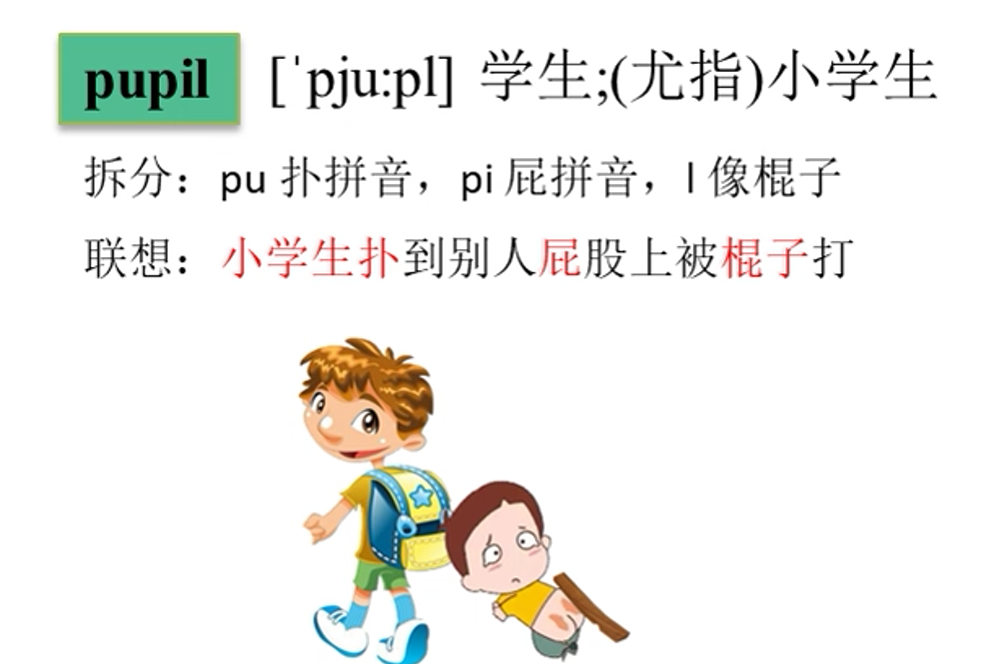 pupils是什么意思中文图片