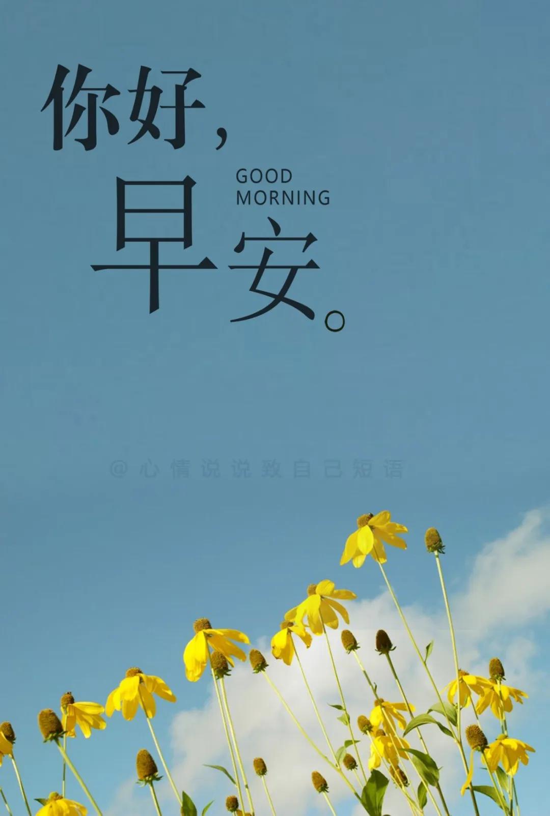 34簲˵˵ͼƬȫΨ,־簲