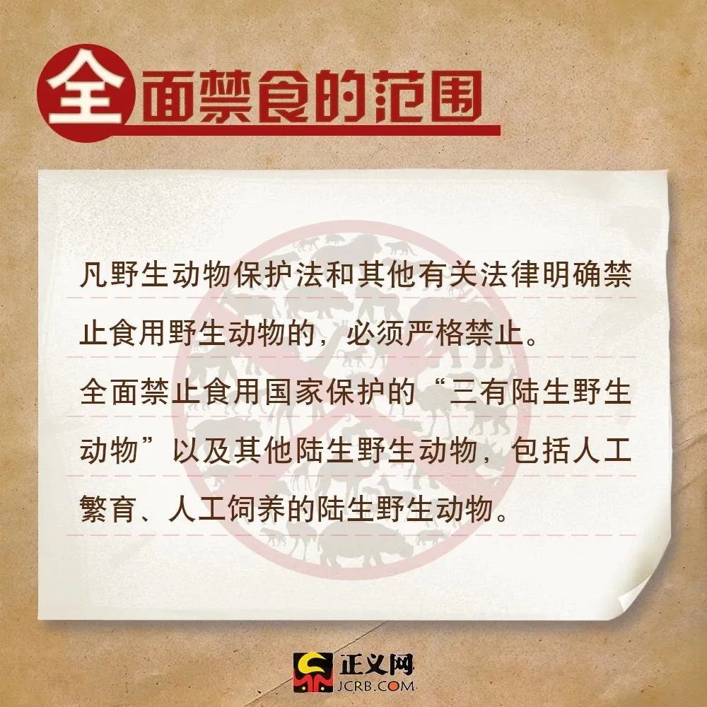 敬畏自然,拒绝"野味"