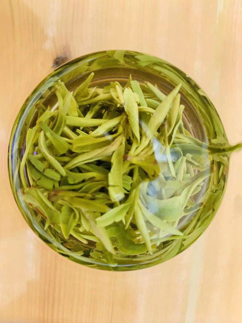 黄山特产休宁松萝茶历史文化品鉴选择购买指南