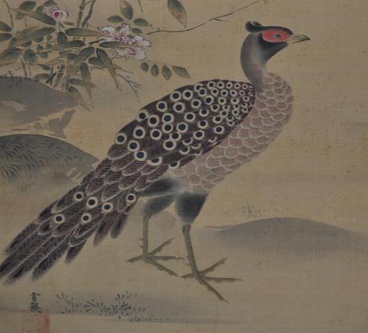 工笔雉鸡基础画法步骤详解