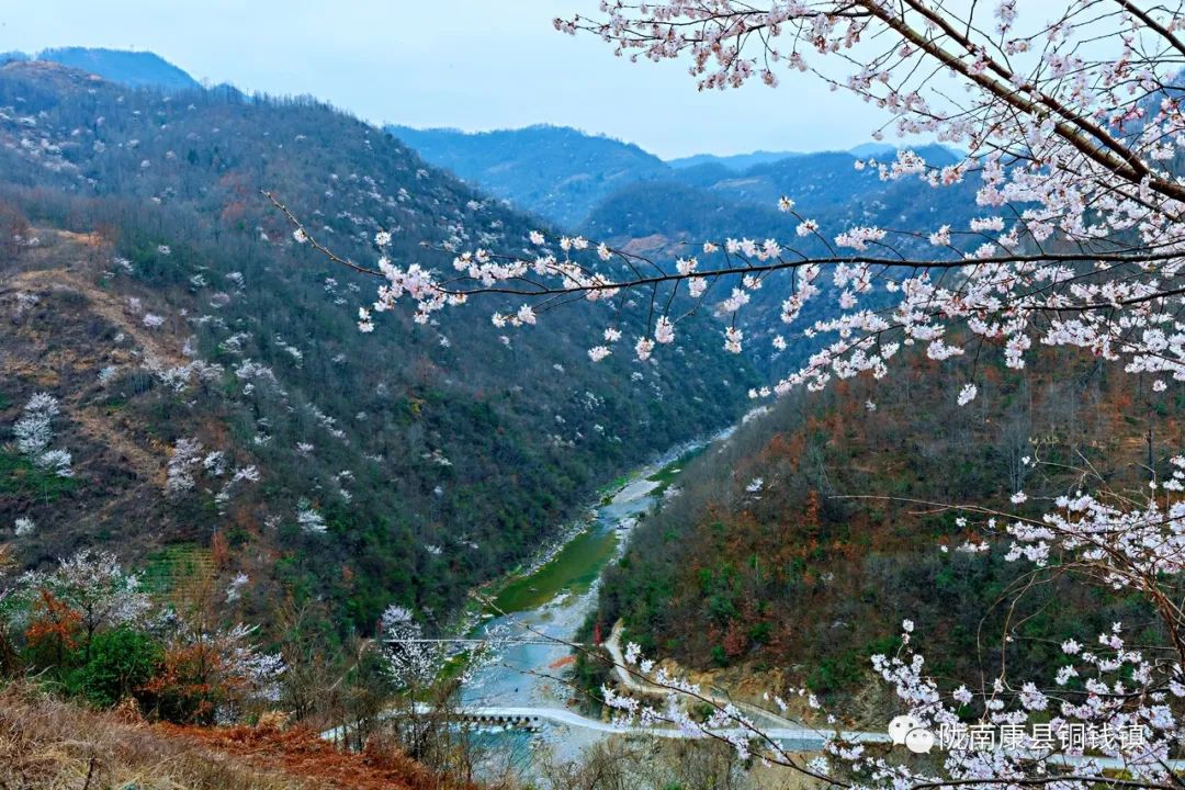 春日铜钱的这份邀请函请您收下