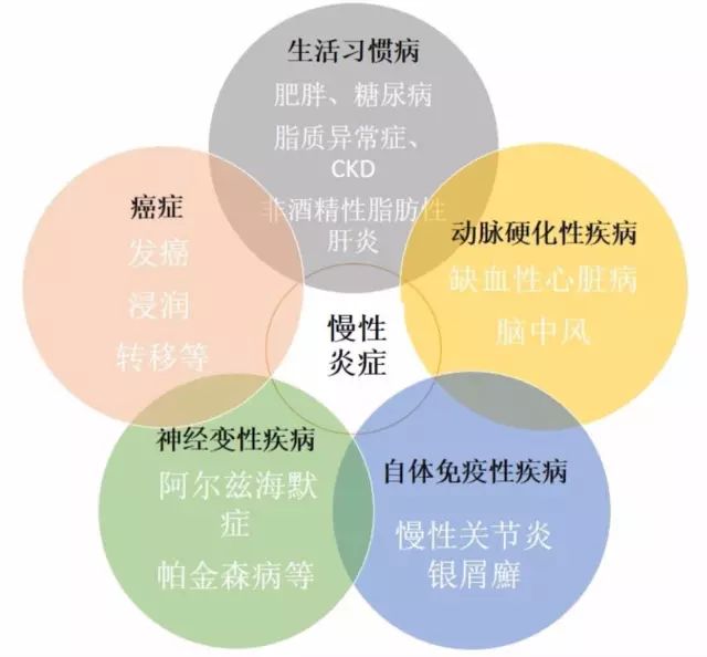 生活習慣病和癌症等都定義為「非感染性疾病(non-communicabledisease