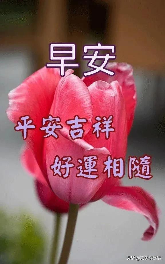 3月3日清晨最美早上好动态图片表情带字早安暖心祝福语