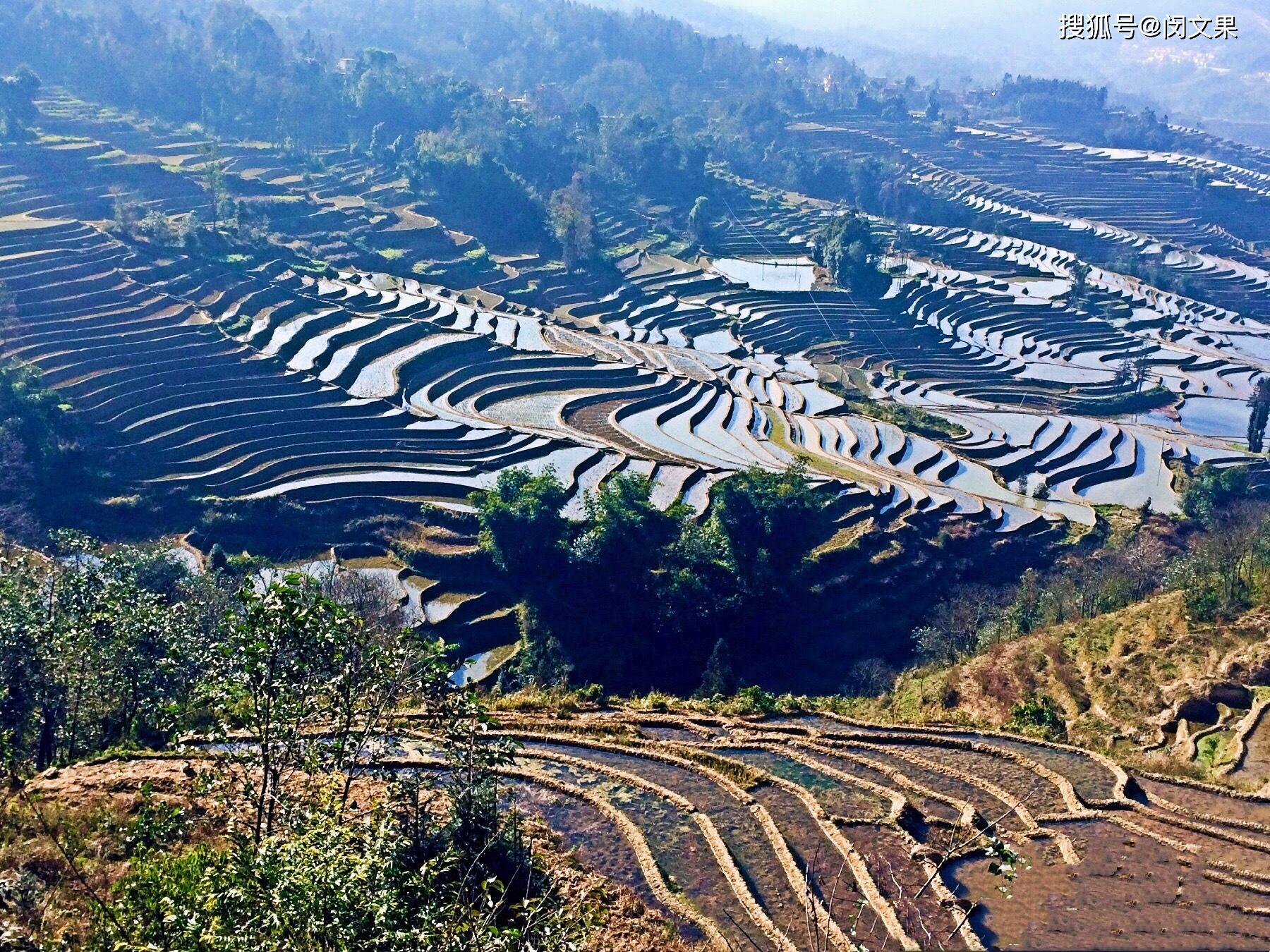 元陽梯田美麗的大地雕刻的山水田園風光畫