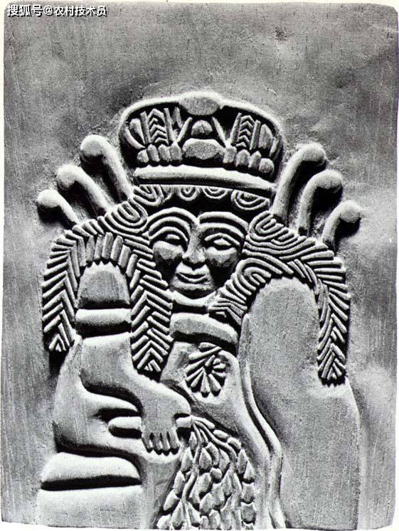 阿努国王的女儿ninhursag,创造人类的女神最终,这次