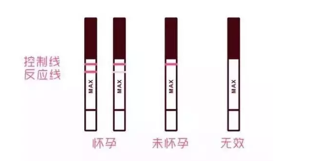 20块的验孕棒和2块的验孕纸