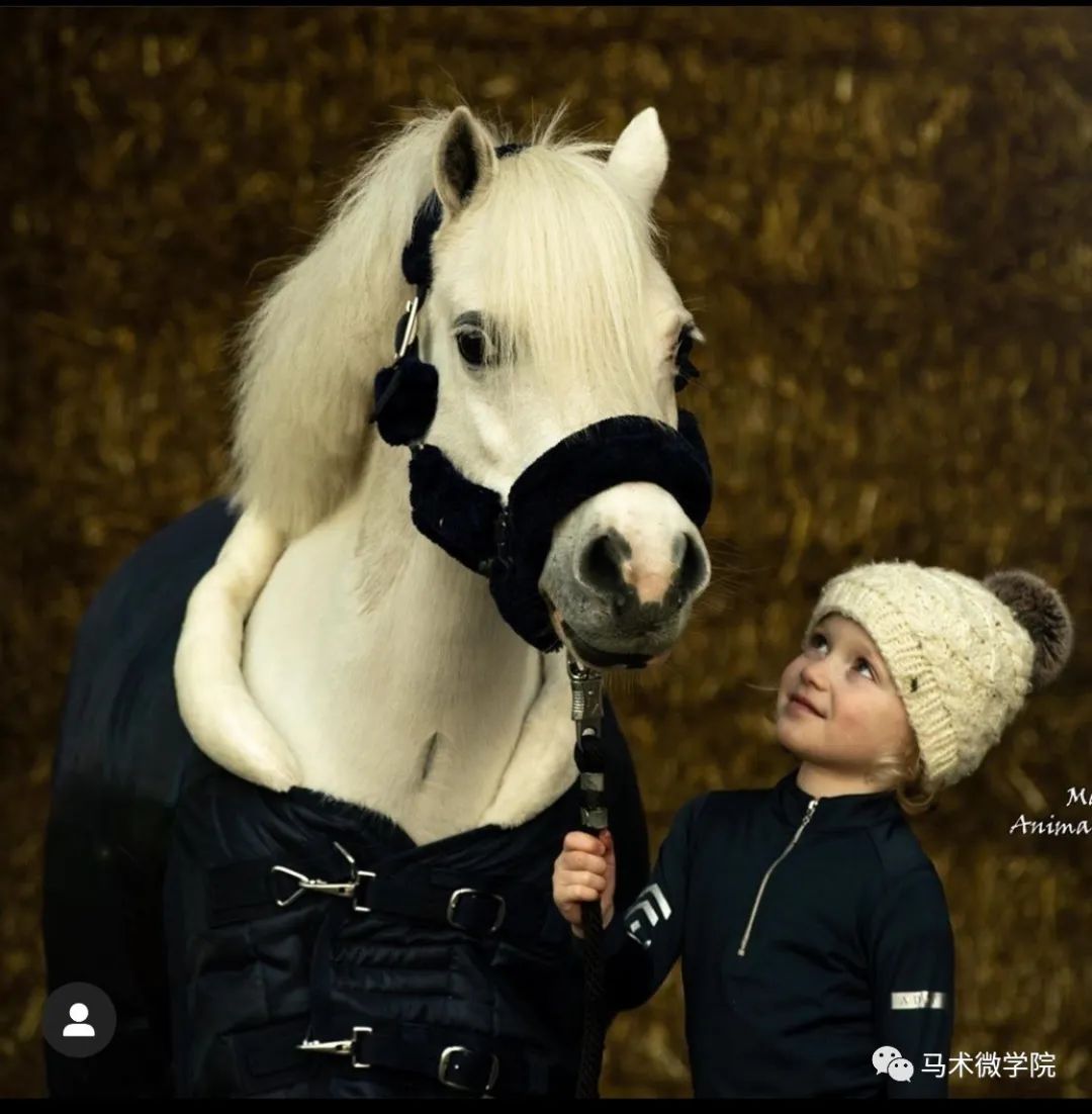 ins上爆火的萌娃与萌马组合戳中你的心里面