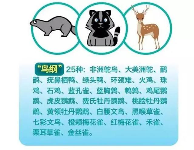 「野猪,蜈蚣,火鸡等54种野生动物严禁食用!」贵州疾控发布最新消息
