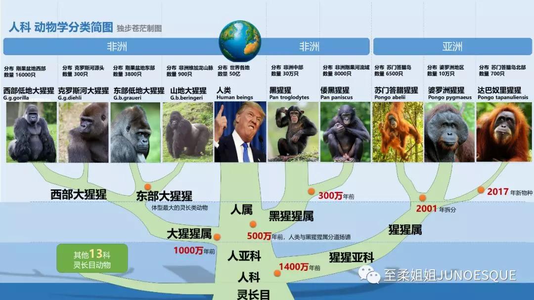 游走乌干达 | 在《猩球崛起》之地与《金刚》同行