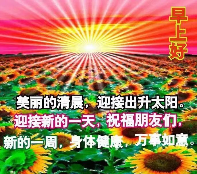 早安祝福美圖早上好問候句子