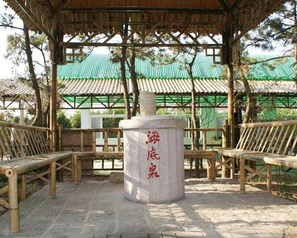 疫情还没结束不要出门聚堆在家vr看风景日照御海湾茶园景区