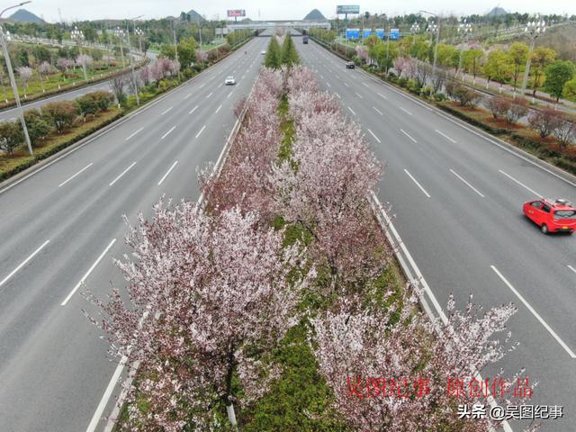 黔中万物争春花朵竞相开放贵安大道两侧春意盎然
