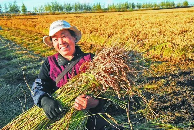 目前有人宁可打工也不种地农民种地打工应该怎么选择