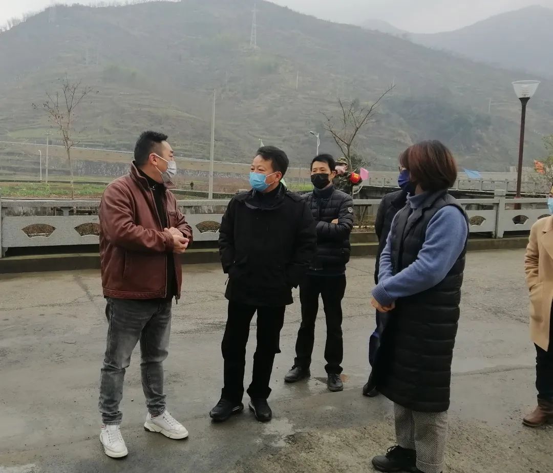 县人大常委会主任董文吉到王阜乡开展战疫情促发展工作调研