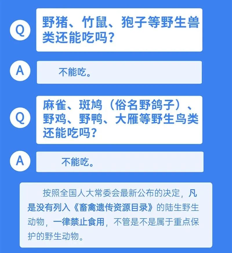 乾貨全面禁食野生動物如何正確吃肉養殖戶何去何從