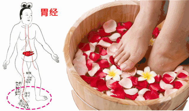 640_378gif 动态图 动图