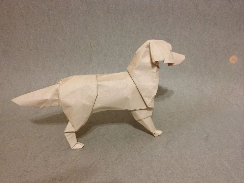 小狗身体折纸图片
