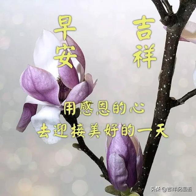 最新早安陽光暖心微信祝福語大全早上好問候語錄