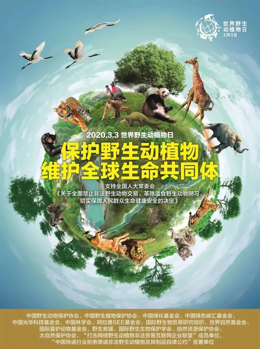 世界野生动植物日 | 我们和野生动物的约定---同栖共存_保护