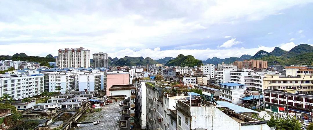 金舵瓷砖_城南新区