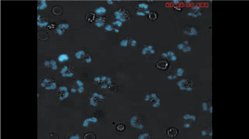 500_280gif 动态图 动图